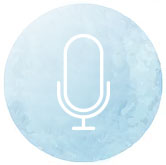 Icon Stimme